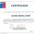 Acercar imagen: certificate 9