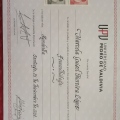 Acercar imagen: certificate 5