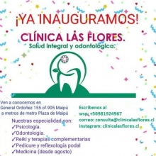 Clínica de Salud Integral y Odontológica Las Flores