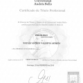 Acercar imagen: certificate 2