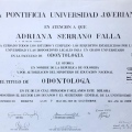 Acercar imagen: certificate 5