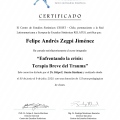Acercar imagen: certificate 12