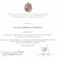 Acercar imagen: certificate 6