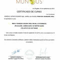 Acercar imagen: certificate 5
