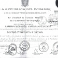 Acercar imagen: certificate 5