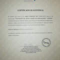 Acercar imagen: certificate 7