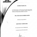 Acercar imagen: certificate 5