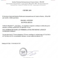 Acercar imagen: certificate 31