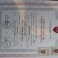 Acercar imagen: certificate 3