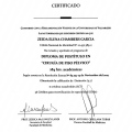 Acercar imagen: certificate 6