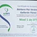 Acercar imagen: certificate 9