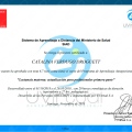 Acercar imagen: certificate 20