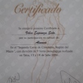 Acercar imagen: certificate 12