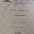 Acercar imagen: certificate 1