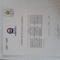 Acercar imagen: certificate 8