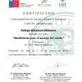 Acercar imagen: certificate 11