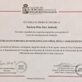 Acercar imagen: certificate 10