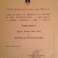 Acercar imagen: certificate 2