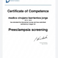 Acercar imagen: certificate 10