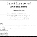 Acercar imagen: certificate 13