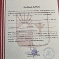 Acercar imagen: certificate 5