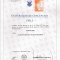 Acercar imagen: certificate 2