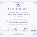 Acercar imagen: certificate 8