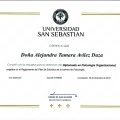 Acercar imagen: certificate 5