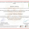 Acercar imagen: certificate 5