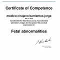 Acercar imagen: certificate 4