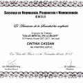 Acercar imagen: certificate 21