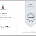 Acercar imagen: certificate 5