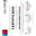 Acercar imagen: certificate 5