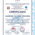 Acercar imagen: certificate 5