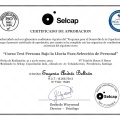 Acercar imagen: certificate 10