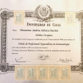 Acercar imagen: certificate 6