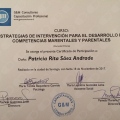 Acercar imagen: certificate 11