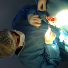 Dra. Fabiola Márquez Astorga