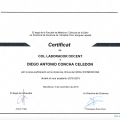 Acercar imagen: certificate 35