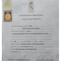 Acercar imagen: certificate 3