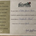 Acercar imagen: certificate 21