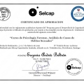 Acercar imagen: certificate 3