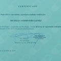 Acercar imagen: certificate 24