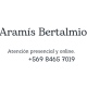 Aramis Bertalmio