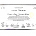 Acercar imagen: certificate 11