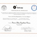 Acercar imagen: certificate 7