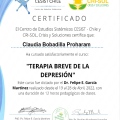 Acercar imagen: certificate 5