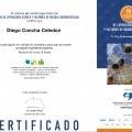Acercar imagen: certificate 29