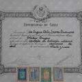 Acercar imagen: certificate 3
