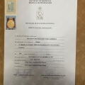 Acercar imagen: certificate 10